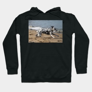 Dalmation Dash Hoodie